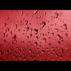 Meet your Posher, Sterling